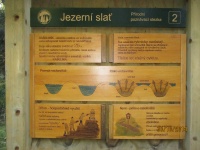 IMG_3683.jpg, 28kB